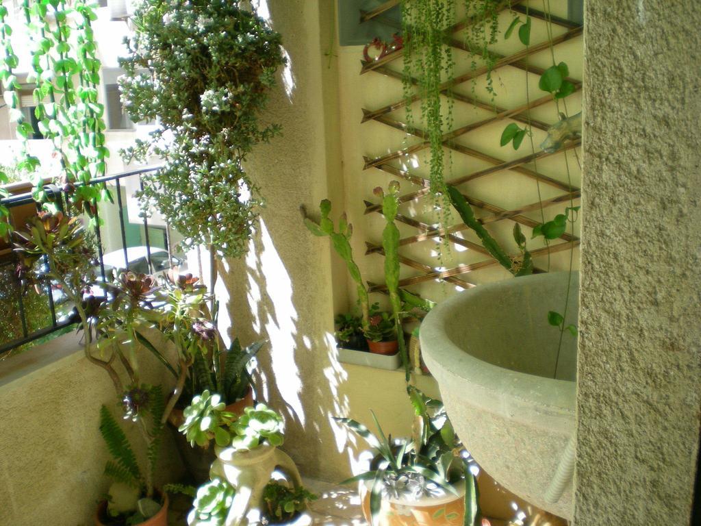 Orizzonte B&B Cefalù Quarto foto